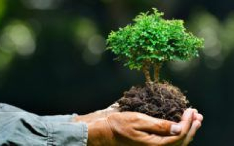 Dia Mundial do Meio Ambiente